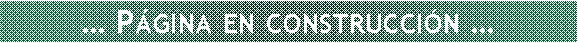 Cuadro de texto: � P�gina en construcci�n �